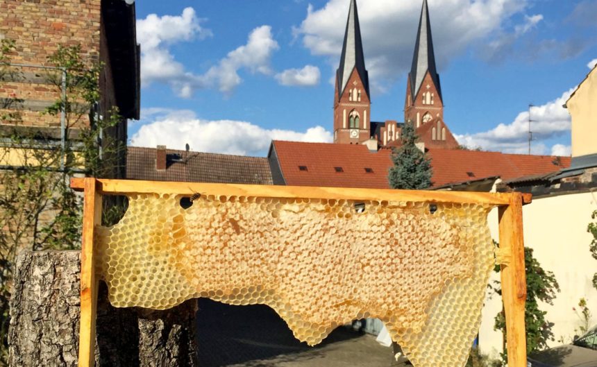 Halbe Bienenwabe mit der Kirche Brandenburgs im Hintergrund