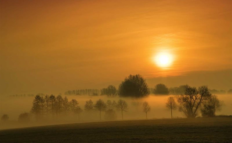 Blick in die morgendliche Röte über die Wälder Neuruppins hinweg