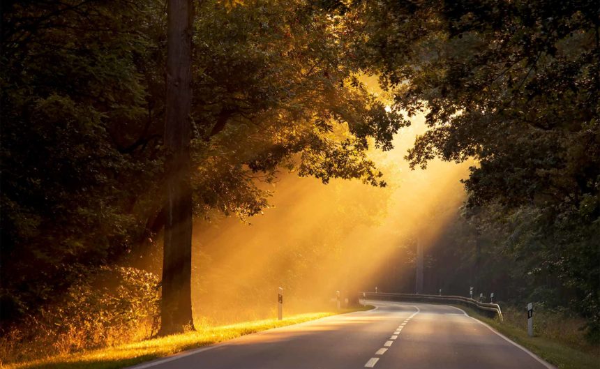 Lichtstrahl leuchtet auf die leere Landstraße durch die Bäume hindurch in der Region Neuruppin