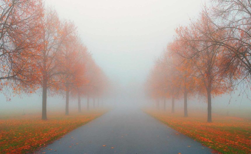 Von Nebel bedeckte Baum-Allee mit orangenen Blättern der Bäume in der Region Neuruppin