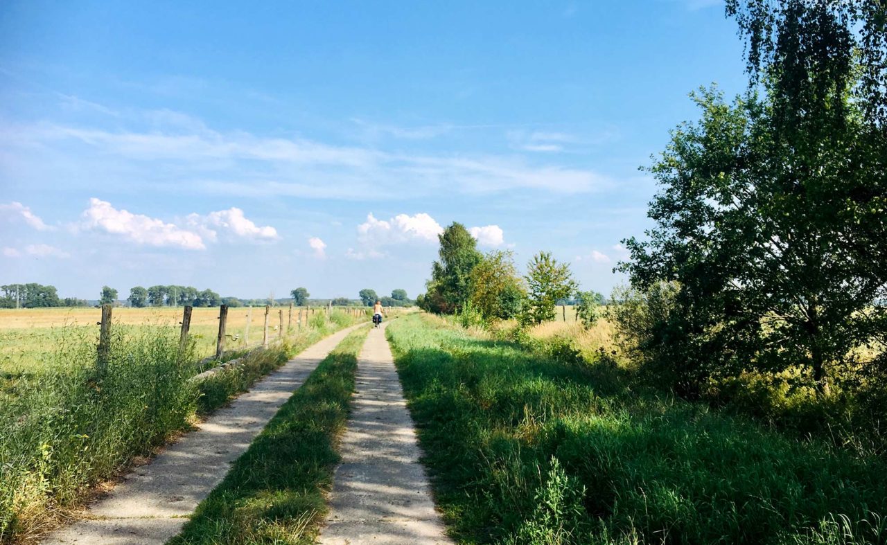 Radlerin auf einem Weg entlang einer abgezäunten Weide in der Region Neuruppin