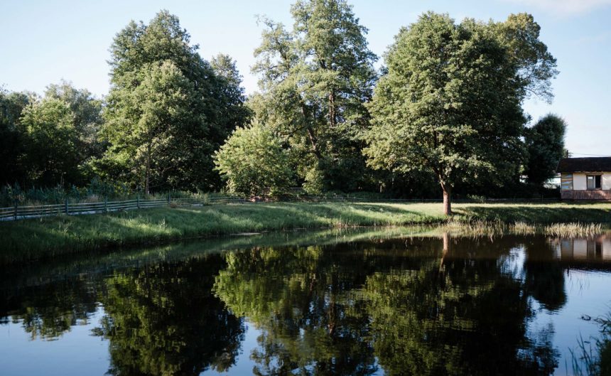 Teich des Partner Fischzucht bei gutem Wetter