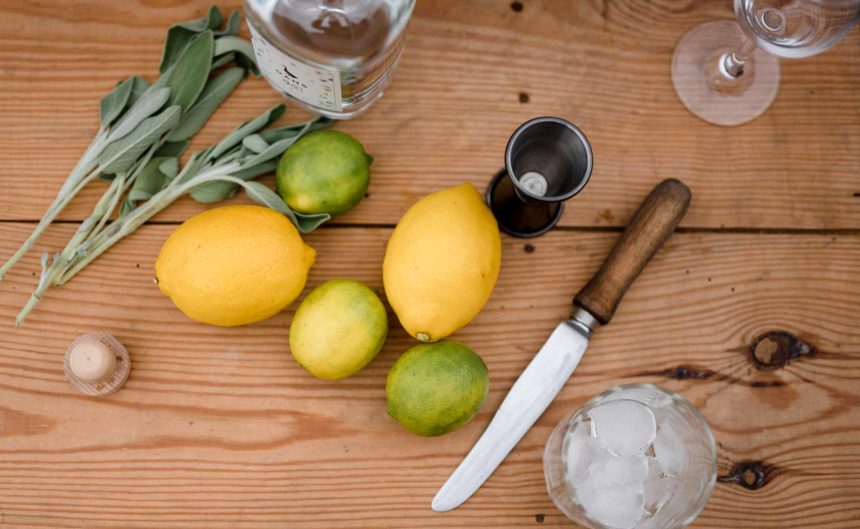 Frische Limetten, Zitronen und Gin auf einem Tisch vom Partner Gans