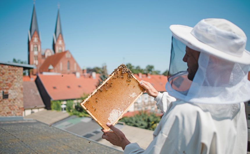 Imker in voller Schutzausrüstung hält eine Wabe in der Hand