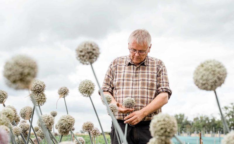 Partner Rixmann überprüft den Bestand auf seinem Feld in der Region Neuruppin