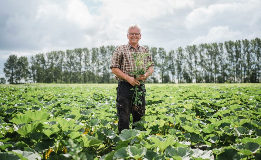 Ein Mann steht auf seinem grün gewachsenen Acker in der Region Neuruppin