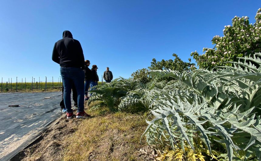 Wild gewachsenes Unkraut am Rande des Ackers und eine Gruppe Menschen davor