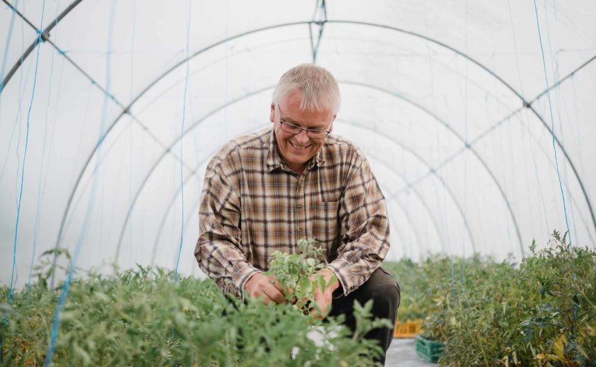 Mann begutachtet die Tomatenpflanzen in seinem Gewächshaus in der Region Neuruppin