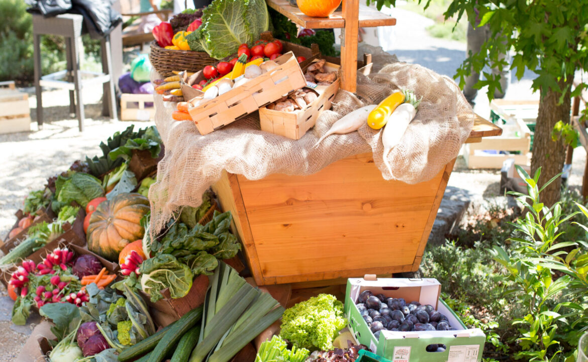 Bunter Gemüsestand auf einem Wochenmarkt mit frischem Gemüse wie Tomaten, Zucchini, Lauch und Kürbissen unter Bäumen