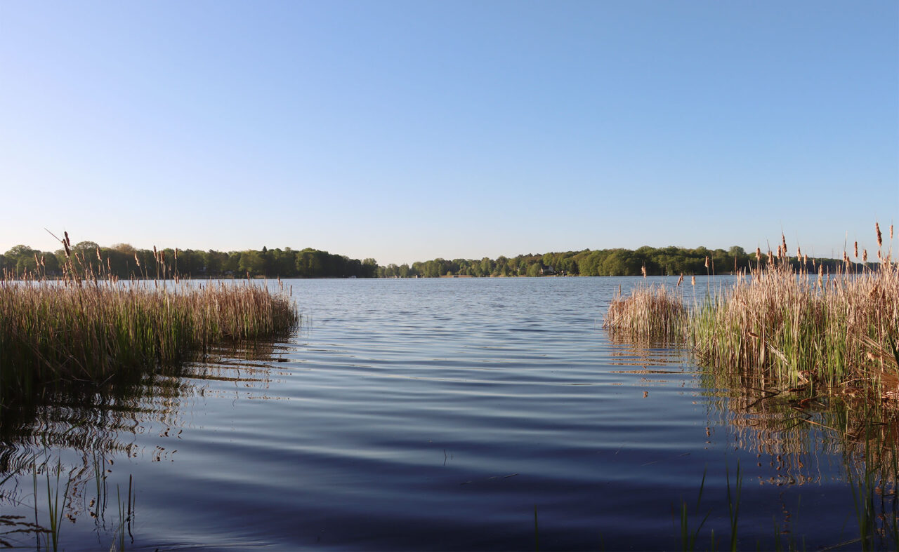 Blick auf den Ruppiner See vom Resort Mark Brandenburg in Neuruppin