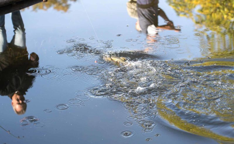 Zwei Männer beim Angeln im Neuruppiner See