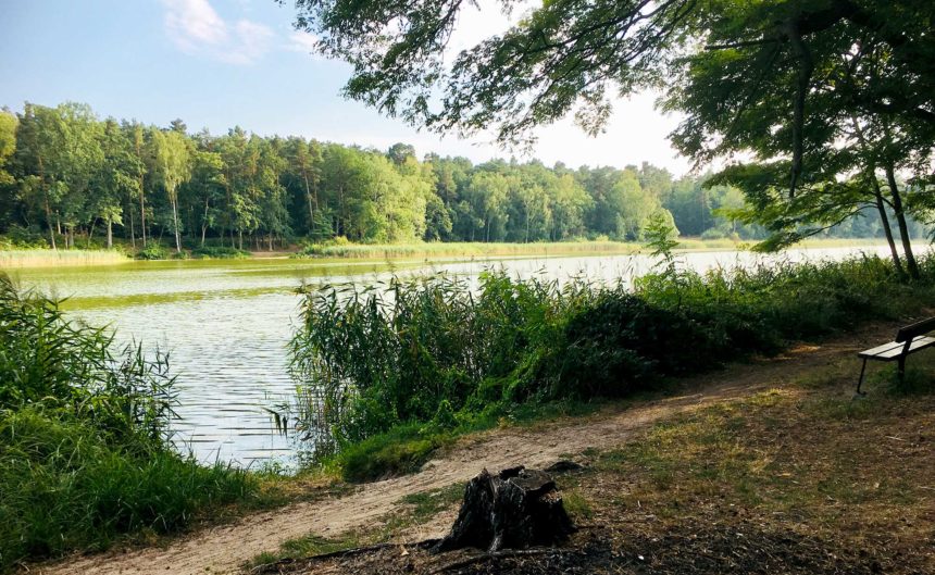 Parkbank an einem Gewässer zum Verweilen in der Region Neuruppin