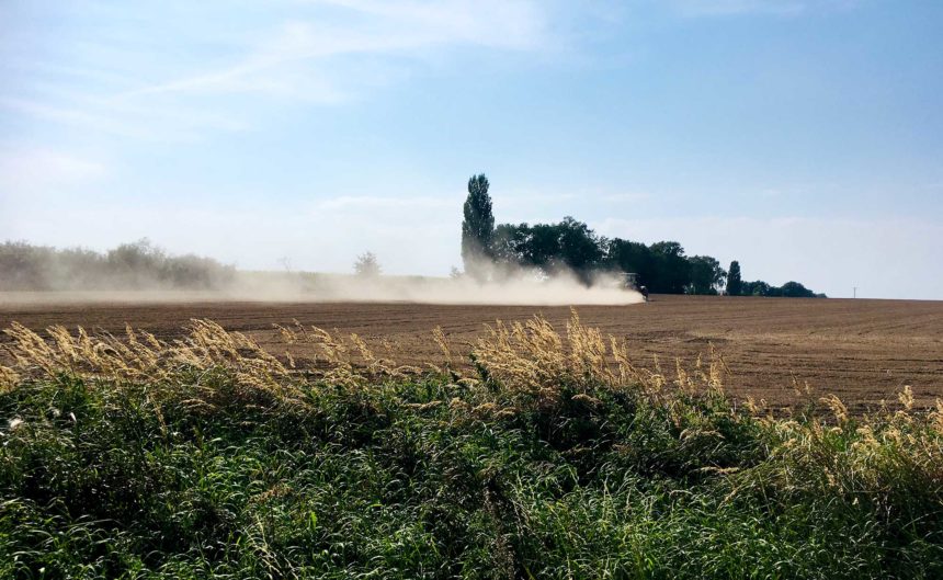Bauer fährt mit dem Traktor über seinen Acker und wirbelt dabei Staub in die Luft